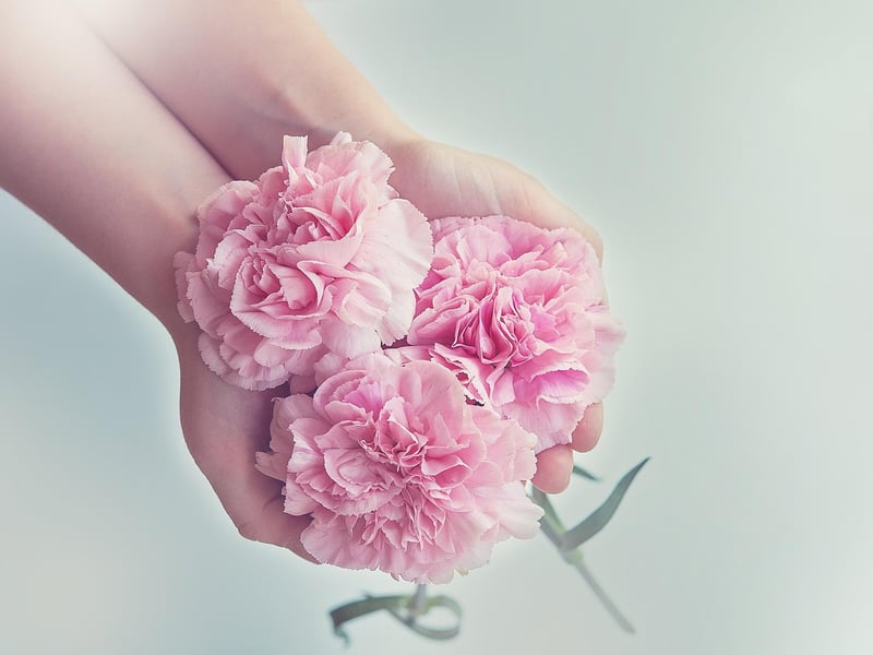 Floral Gift Ideas